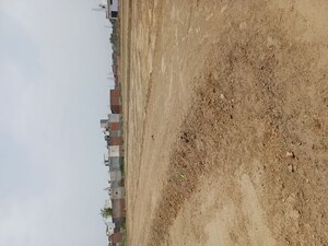 Plot Area in  Plot at Karnera Village – for Sale