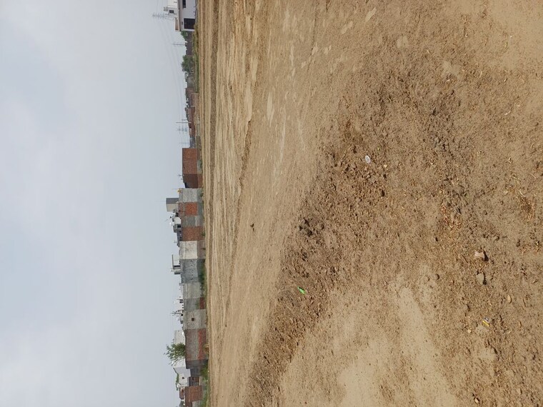 undefined, karnera village  69 Sq.Yd. Plot In Karnera Village Faridabad 10420328