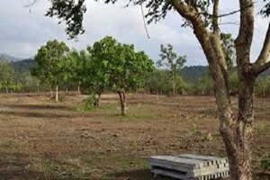 Plot For Sale in Darawali