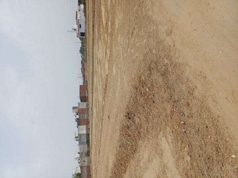 undefined, karnera village  71 Sq.Yd. Plot In Karnera Village Faridabad 10420359