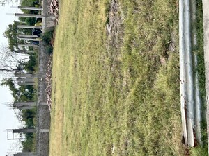 Plot Area in  Plot at Raipura – for Sale