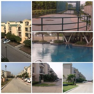 3 BHK Builder Floor – Exterior View View at Omaxe Silver Birch, North Mullanpur - for Sale