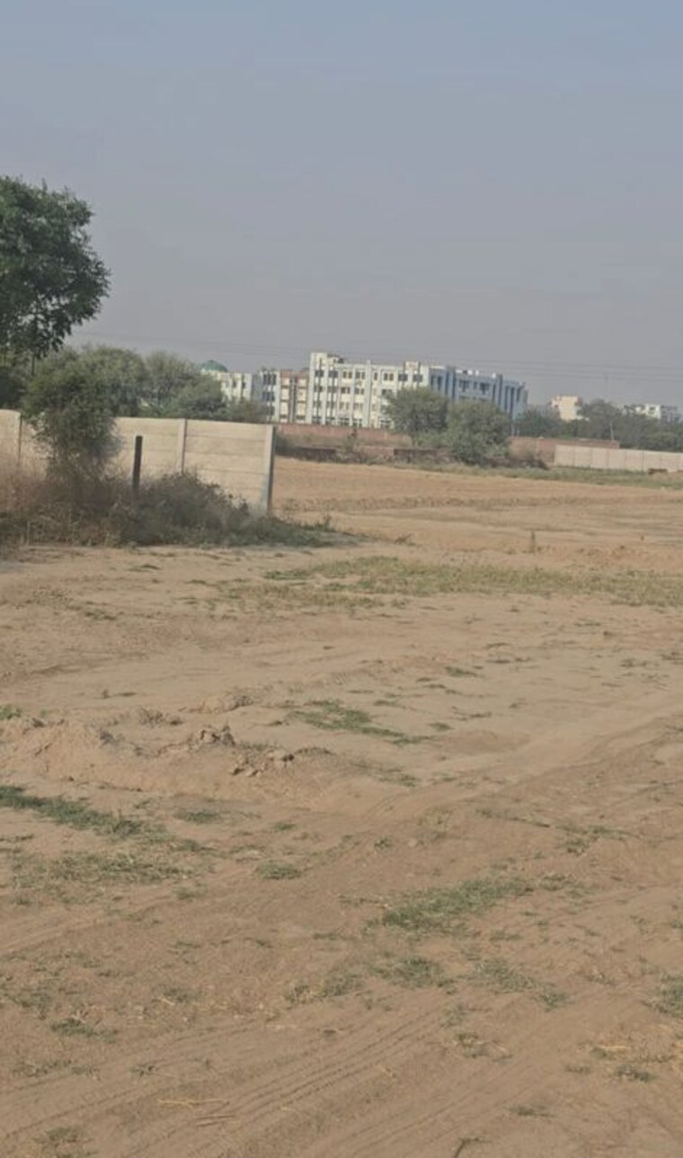 undefined, bamnikhera  710 Sq.Yd. Plot In Bamnikhera Palwal 10414284