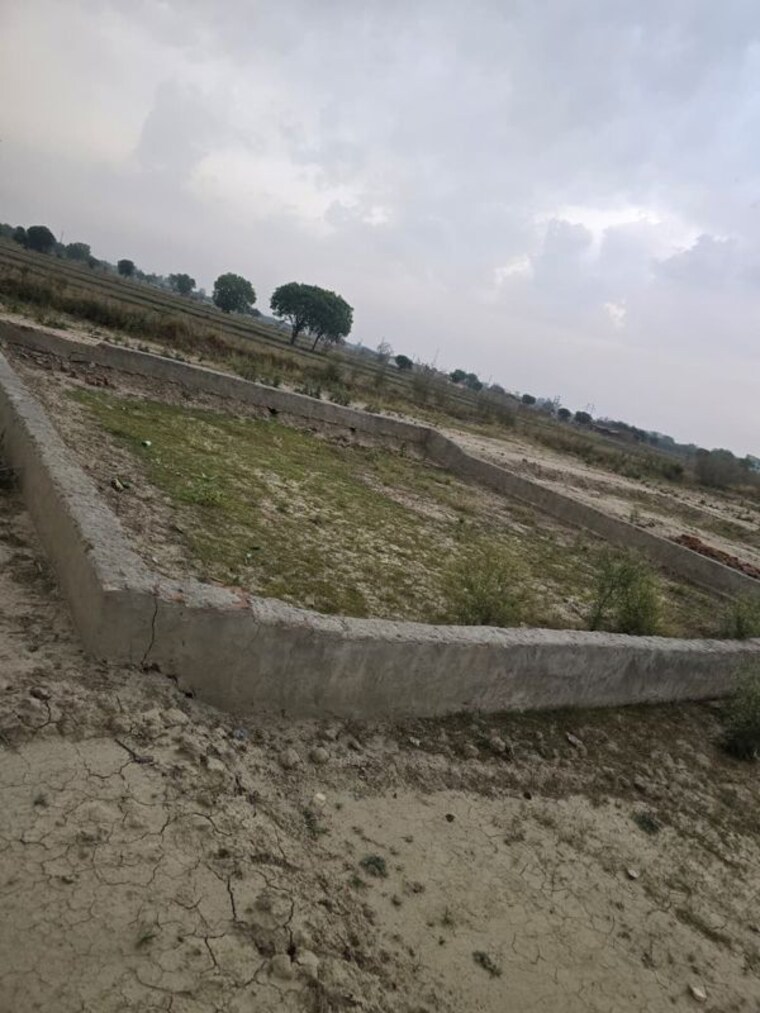 undefined, bamnikhera  256 Sq.Yd. Plot In Bamnikhera Palwal 10420564