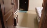 1 BHK 513 Sq.Ft. Apartment in Pimple Gurav
