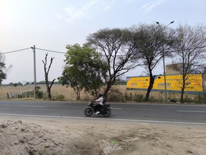   Land at Pataudi – for Rent