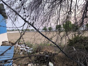 Plot Area in  Land at Pataudi – for Rent