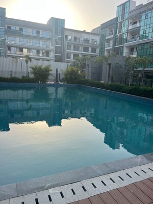 Swimming Pool in 3 BHK Apartment at Signature Global City 63A, Sector 63a – for Rent