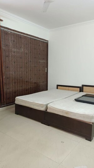 3 BHK Apartment For Rent in Vasant Kunj