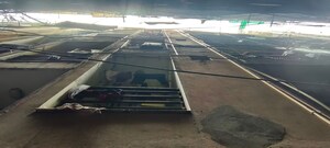  Builder Floor – Exterior View View at Arjun Nagar - for Sale