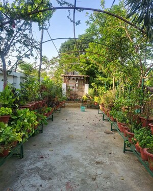  Plot – Garden View at Chunar - for Sale