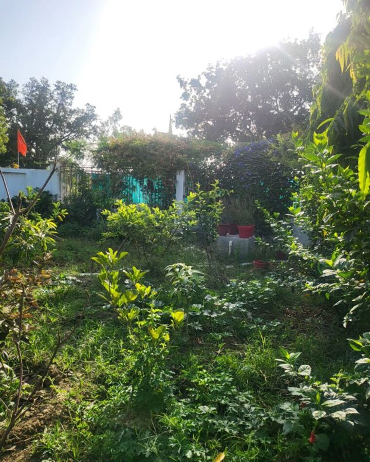 Garden, chunar  1000 Sq.Ft. Plot In Chunar Mirzapur 10421268