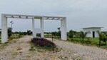 2000 Sq.Ft. Plot in Mirzamurad