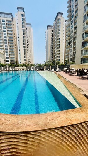 3 BHK Apartment For Rent in Ace Starlit, Sector 152