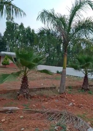  Plot – Garden View at Narasapura - for Sale
