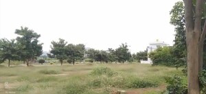  Plot For Sale in Narasapura
