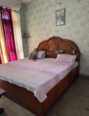 2 BHK Apartment For Rent in Harmukh Apartment, Alpha 1 Greater Noida