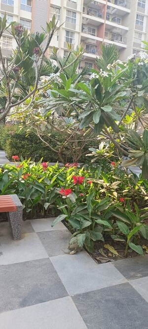 2 BHK Apartment – Garden View at Pride Purple Park Connect, Hinjewadi - for Sale