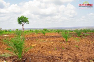  Plot For Sale in Pusalpahad