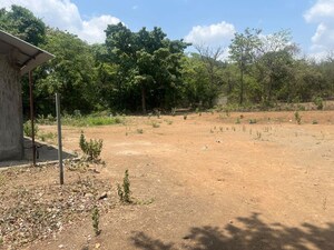 Plot Area in  Plot at Sandesh Nagar – for Sale