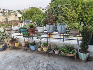 6+ BHK Independent House – Exterior View View at Aliganj - for Sale