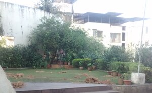 2 BHK Apartment – Exterior View View at Sai Chaturbhuj Apartment, Kharghar - for Rent