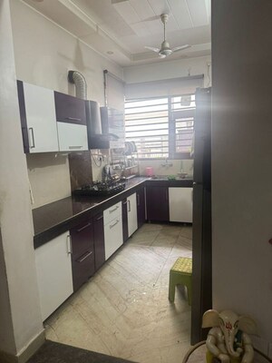 3 BHK Builder Floor For Rent in Preet Colony