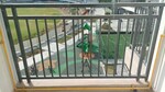 2 BHK 1137 Sq.Ft. Apartment in Eldeco Live By The Greens