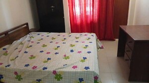 3 BHK Apartment For Rent in Orchid Petals, Sector 49