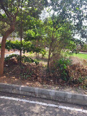 Plot Area in  Plot at Kammasandra – for Sale