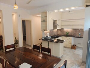 3 BHK Builder Floor For Rent in Vasant Vihar