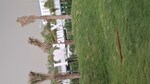 Studio  525 Sq.Ft. Apartment in Knowledge Park V Greater Noida