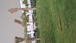 Studio Apartment For Sale in Knowledge Park V Greater Noida