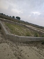 550 Sq.Yd. Plot in Bamnikhera