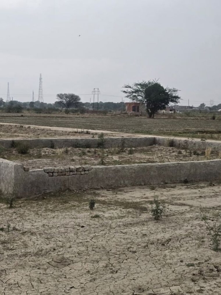 undefined, bamnikhera  550 Sq.Yd. Plot In Bamnikhera Palwal 10423824