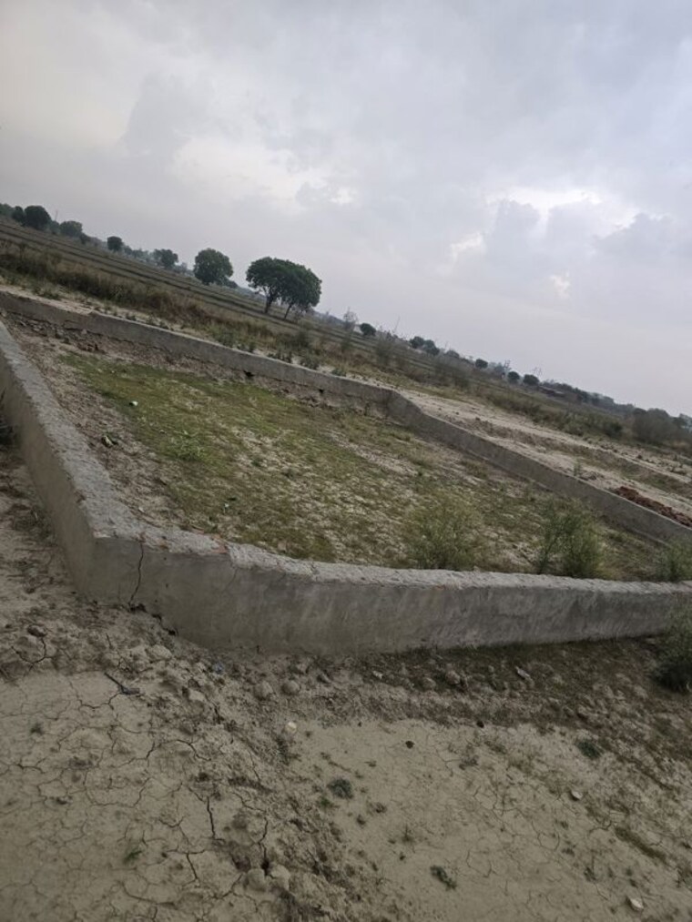 undefined, bamnikhera  550 Sq.Yd. Plot In Bamnikhera Palwal 10423824