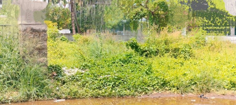 Garden, patturaickal Commercial Land 3920 Sq.Ft. In Patturaickal Thrissur 10424012