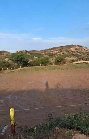  Plot For Sale in Barwala