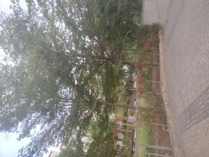 2 BHK Apartment For Rent in My Home Avatar, Gachibowli