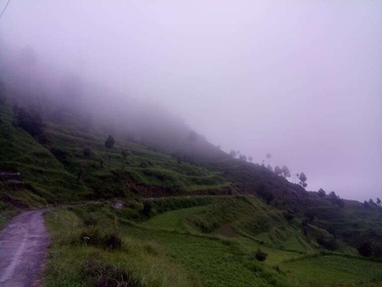undefined, bhimtal  240 Sq.Yd. Plot In Bhimtal Nainital 10424193
