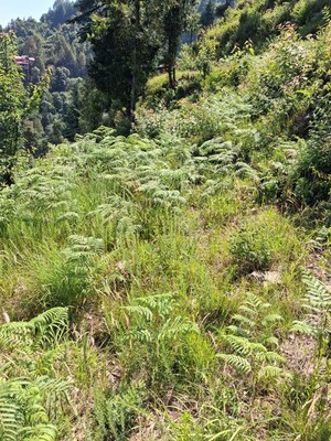  Plot For Sale in Bhimtal