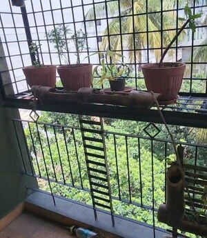 Balcony in 2 BHK Apartment at Bellandur – for Rent