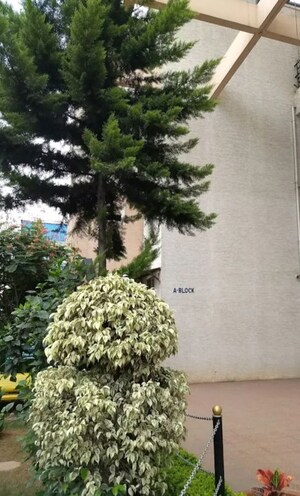 2 BHK Apartment – Garden View at Vanshee Eldorado Apartment, Marathahalli - for Rent