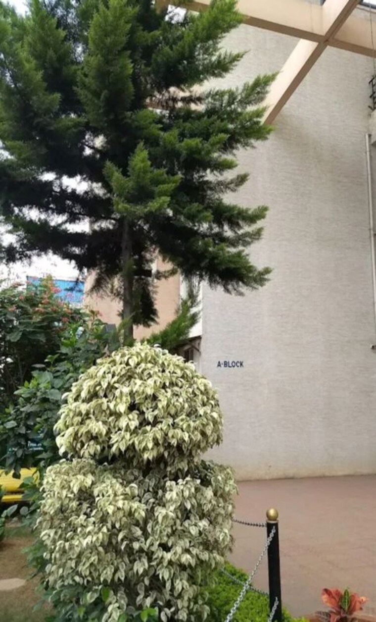 Garden, vanshee-eldorado-apartment 2 Bedroom 1200 Sq.Ft. Apartment In Marathahalli Bangalore 10424817