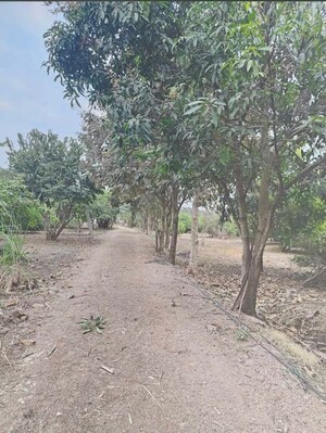 Plot Area in  Plot at Shankarpalli – for Sale