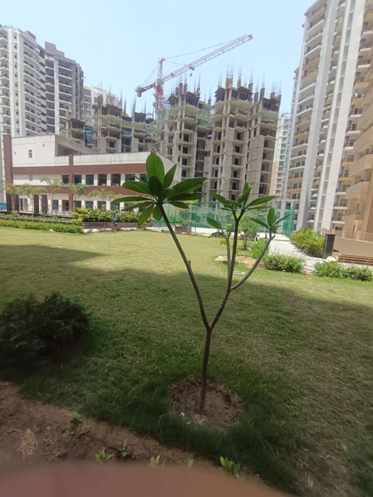 Garden, elegant-splendour 2 Bedroom 1061 Sq.Ft. Apartment In Tech Zone 4 Greater Noida Greater Noida 10424854
