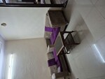 1.5 BHK 430 Sq.Ft. Builder Floor in Acharya Niketan