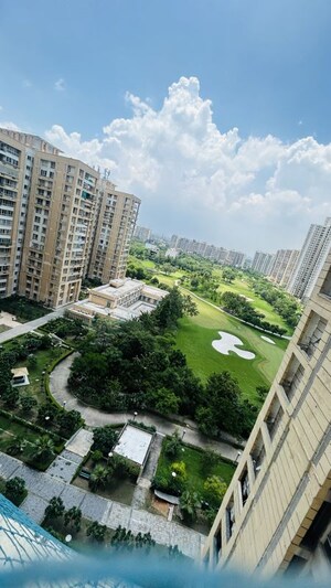 3 BHK Apartment For Rent in Jaypee Greens Kalypso Court, Sector 128