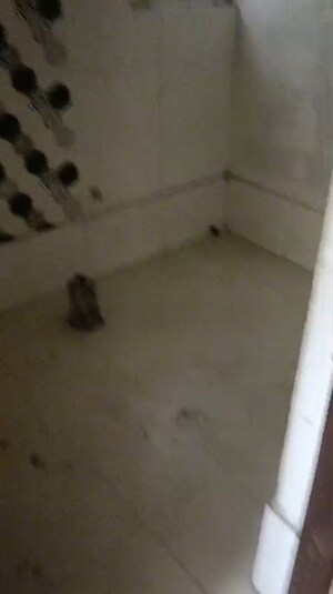 Bathroom in 2 BHK Apartment at Eureka Diya Green City, Raj Nagar Extension – for Sale