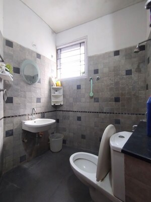 Bathroom in  Pg at Whitefield – for Rent